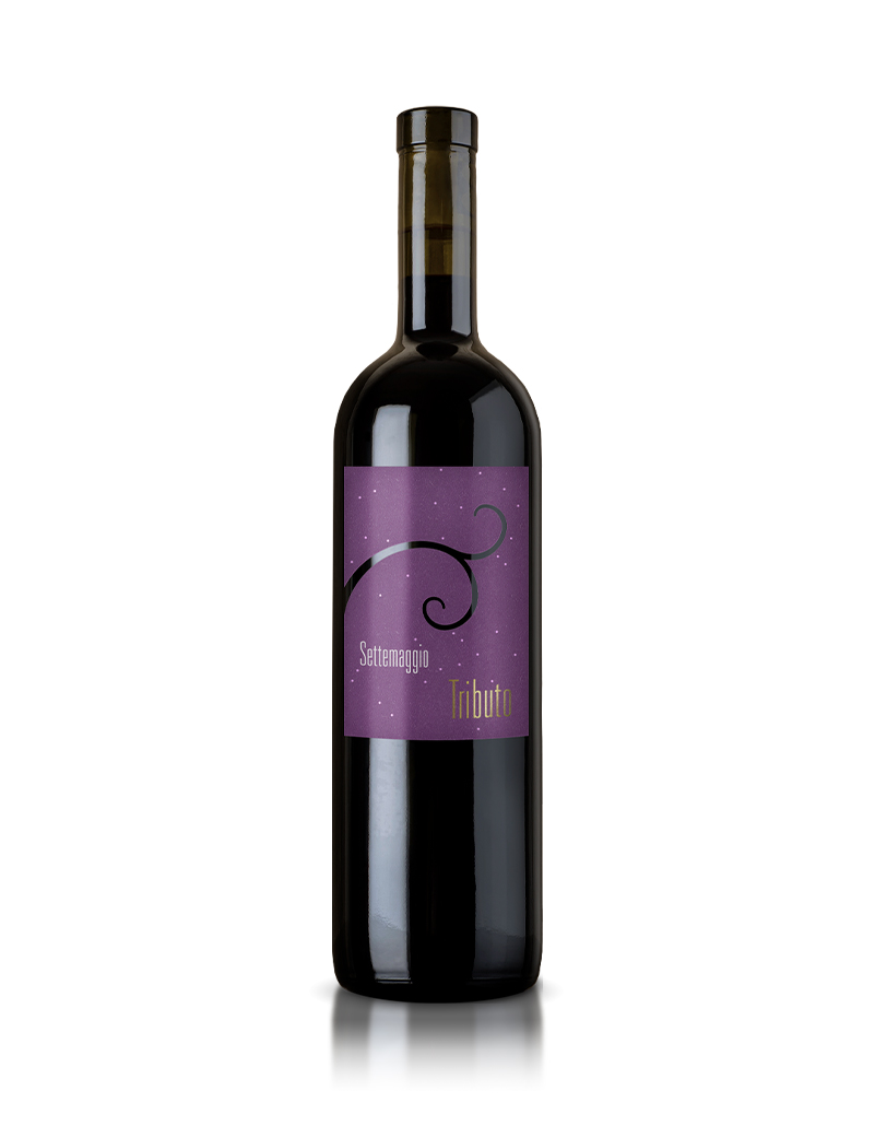 Tributo Merlot Barrique
Azienda Agricola Settemaggio Tessin