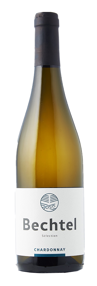 Chardonnay Zurich AOC
Cave Bechtel Eglisau
