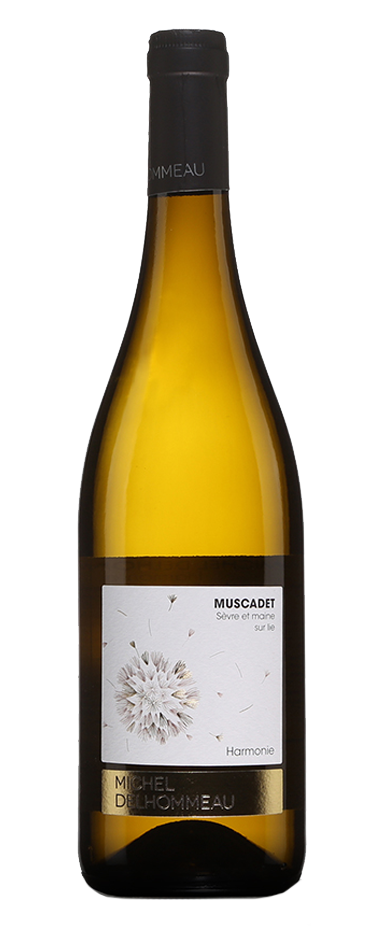 Muscadet de Sèvre et Maine Harmonie ACDomaine Michel Delhommeau Bio