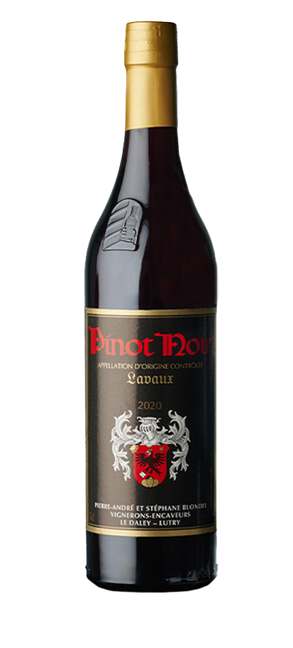 Pinot Noir du DaleyP-A Blondel Le Daley AOC