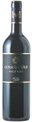 Pinot noir Clos de Balavaud AOC Valais  **
Les Fils Maye, Riddes