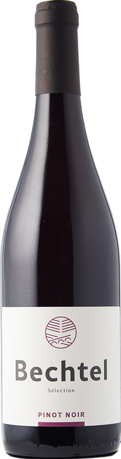 Pinot noir sélection barrique Zurich AOCCave Bechtel Eglisau