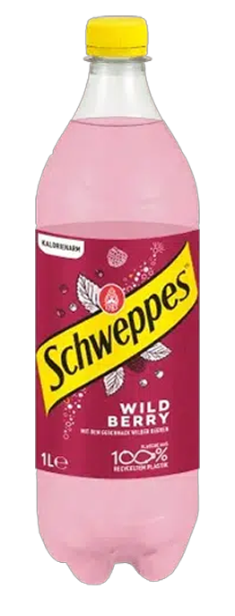 Schweppes Wild Berry Pet6-pack