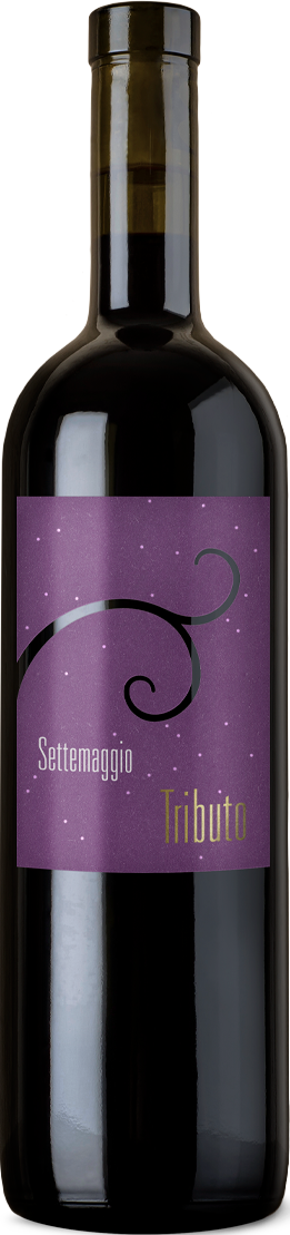 Tributo Merlot barriqueAzienda agricola Settemaggio Tessin