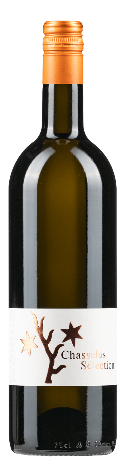 Vully chasselas Cave Schmutz Praz AOC