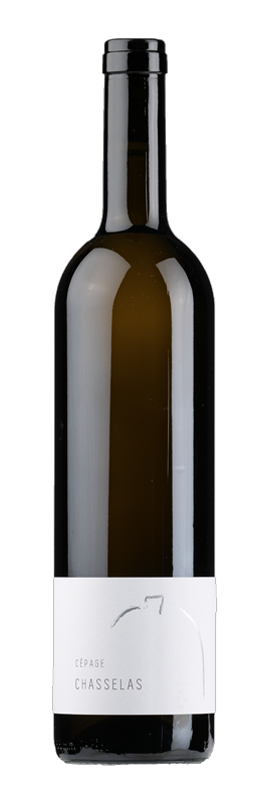 Vully chasselas  **
Cave Simonet Môtier AOC