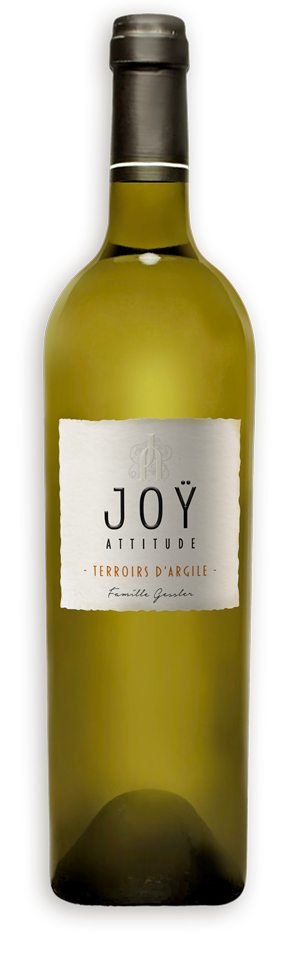 Joy Attitude Blanc Côtes de Gascogne IGP
Domaine Joy Gascogne